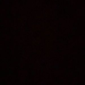 Meet your Posher, Genesis